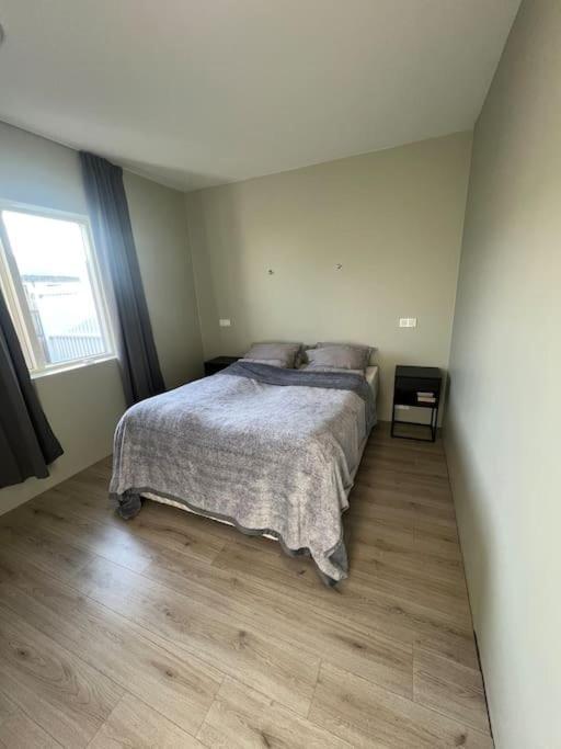 Appartement Golden Circle House 1 à Selfoss Extérieur photo