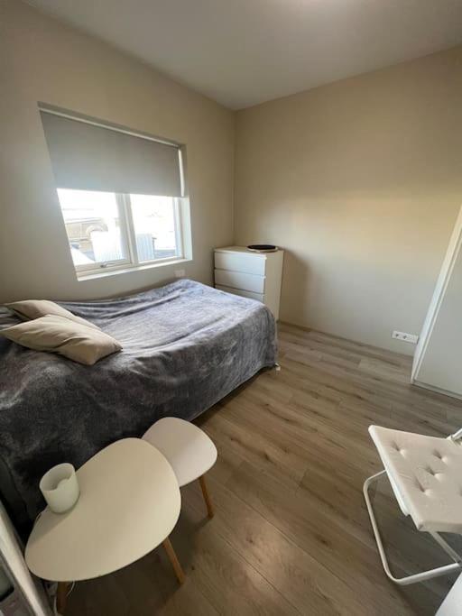 Appartement Golden Circle House 1 à Selfoss Extérieur photo