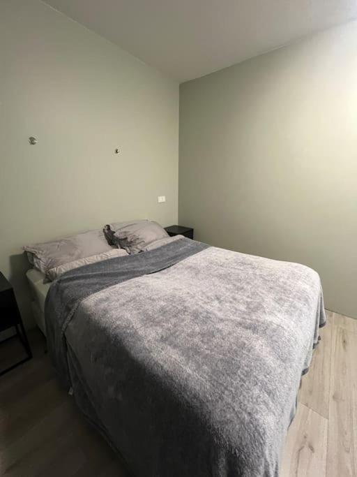 Appartement Golden Circle House 1 à Selfoss Extérieur photo